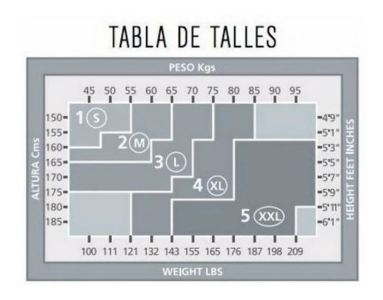 Panty Media Fina Can Can  Star Levante