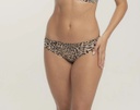 MLA1581370699
